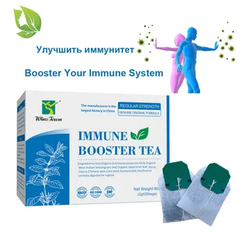 40 kos/2 Paketi Imunski Booster Teabags Anti Gliv Izboljšanje Imunosti Organskih Kitajski Zeliščni Zdravstvenega Varstva Teabags